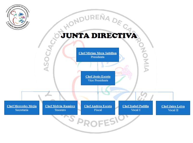 Junta Directiva AHGCP